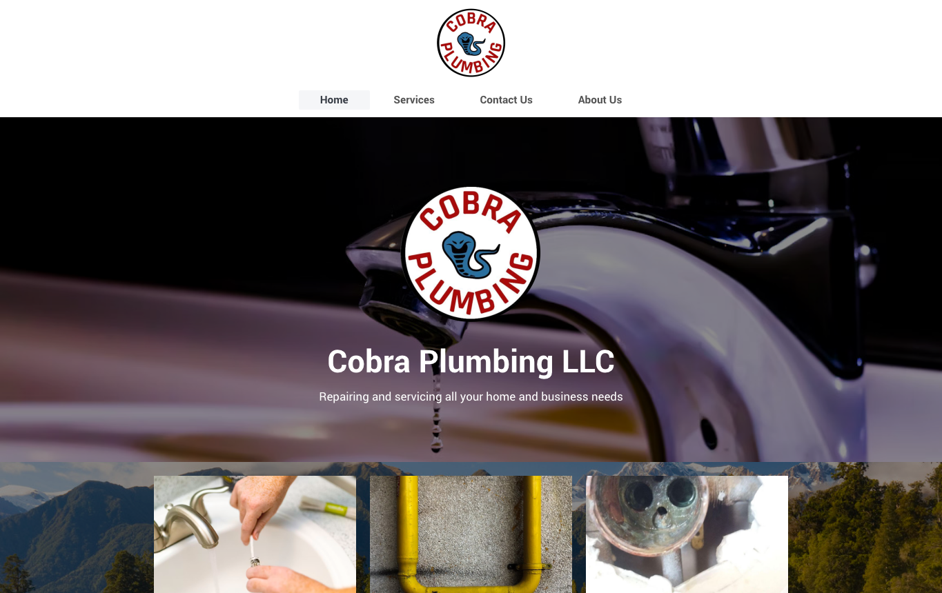 Original Cobra Plumbing website screenshot